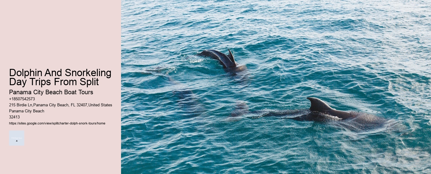 Dolphin And Snorkeling Day Trips From Split