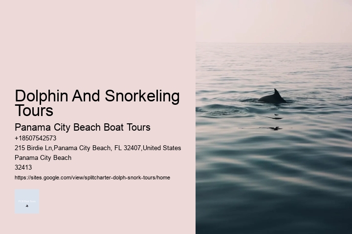 Dolphin And Snorkeling Tours