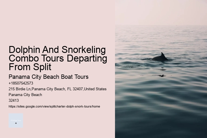 Why Can't You Touch Dolphins