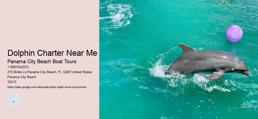 Split Luxury Dolphin And Snorkeling Yacht Charters