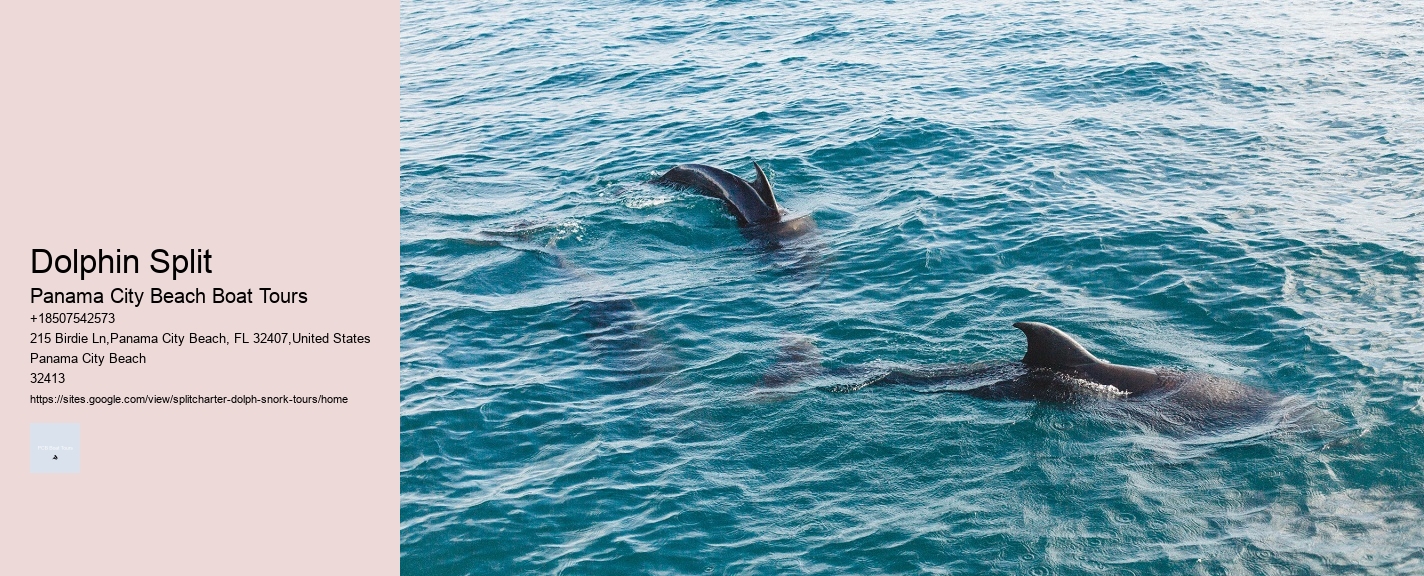 Dolphin Split