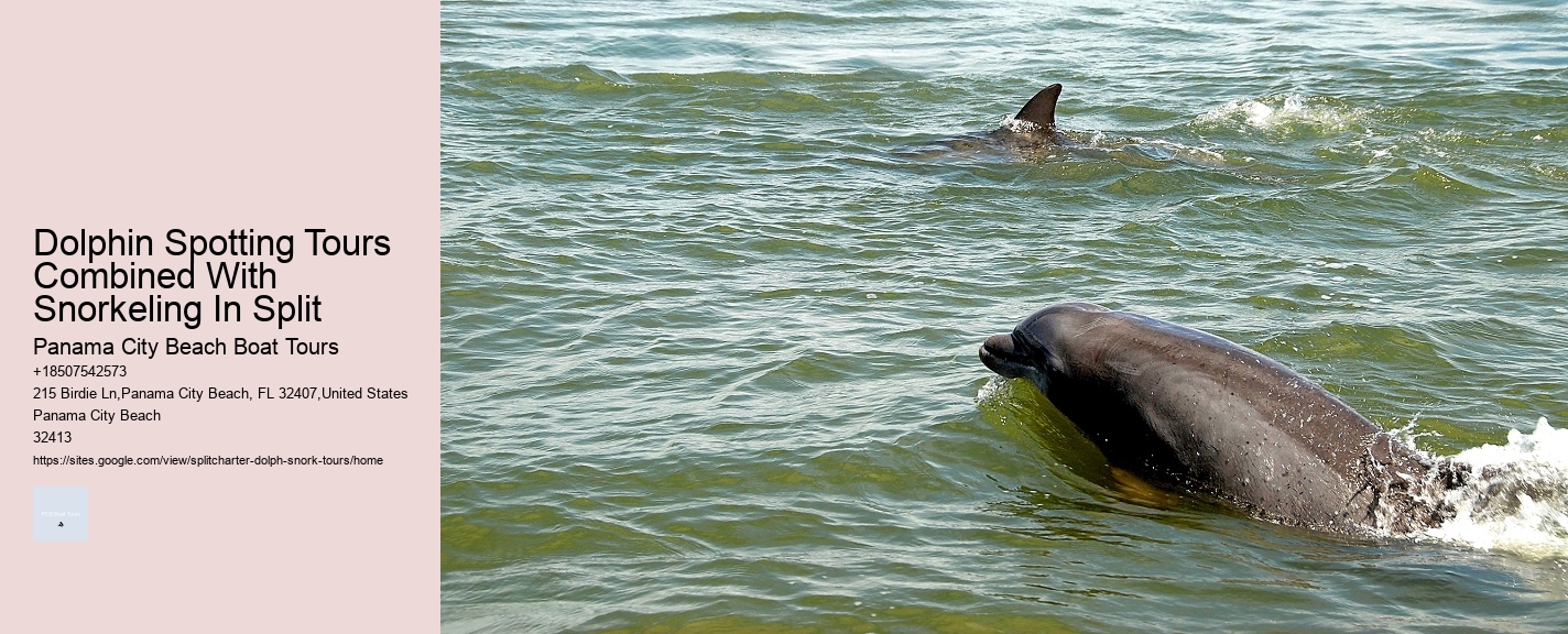 Dolphin Spotting Tours Combined With Snorkeling In Split