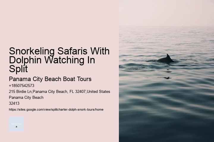 Snorkeling Safaris With Dolphin Watching In Split