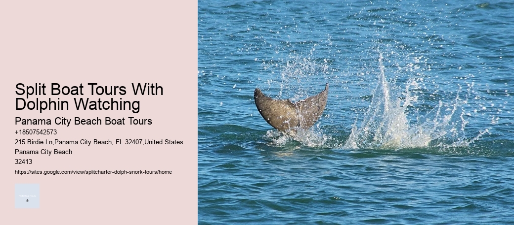Split Boat Tours With Dolphin Watching