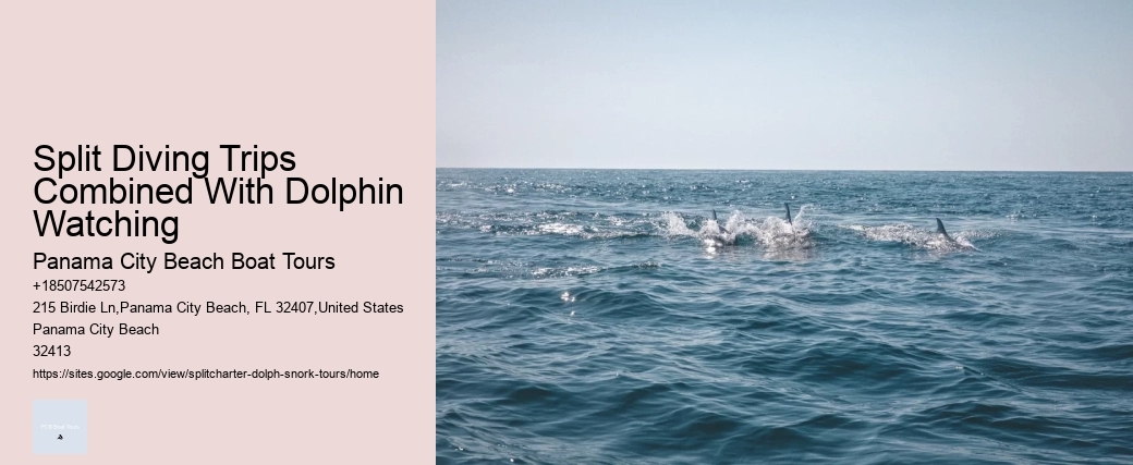 What To Do If A Dolphin Is Stranded On A Beach