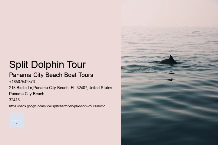 Is It Safer To Swim With Dolphins Or Sharks