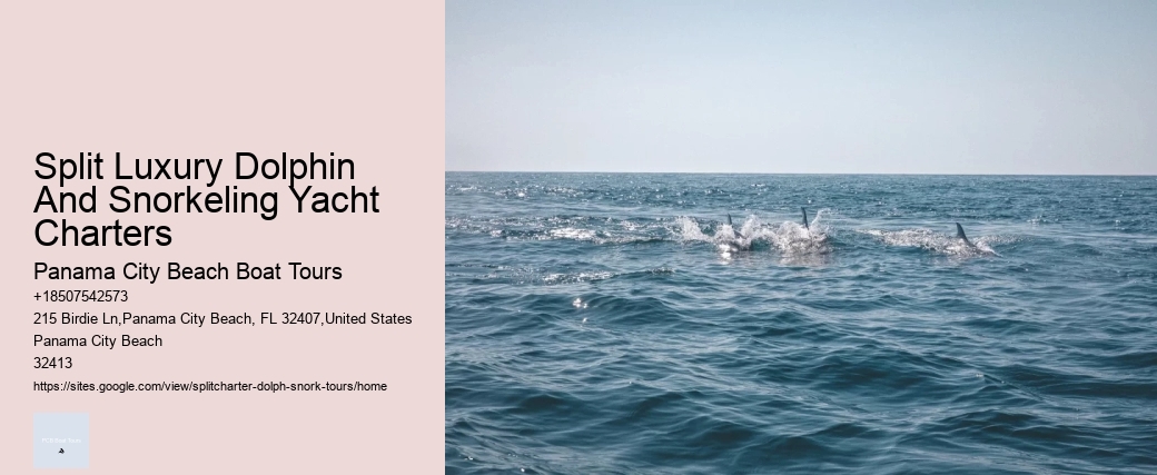 Split Luxury Dolphin And Snorkeling Yacht Charters