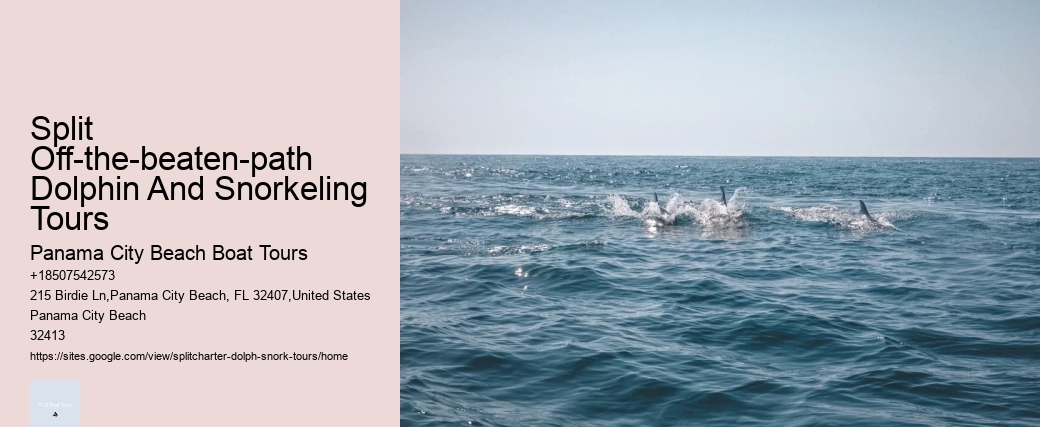 Split Off-the-beaten-path Dolphin And Snorkeling Tours