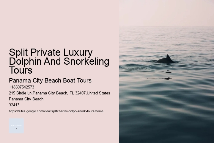 Split Private Luxury Dolphin And Snorkeling Tours