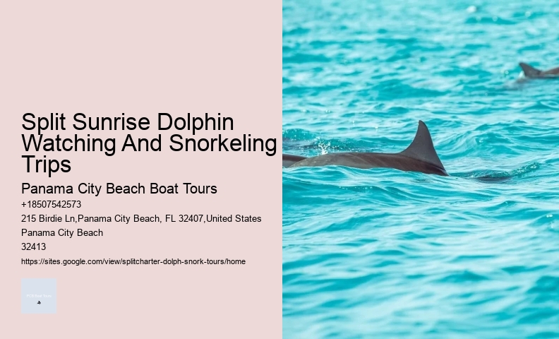 2 Hour Dolphin Cruise